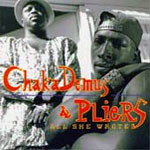 Chaka Demus & Pliers - All She Wrote